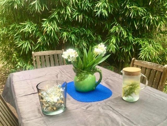 Serenity Chambre D'Hote Au Calme Des Maitres Tibetains Y Ont Sejourne 15 Mn Des Plages Apartment Mougins Ngoại thất bức ảnh